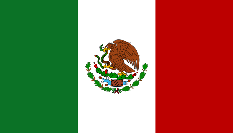Private security jobs in Mexico