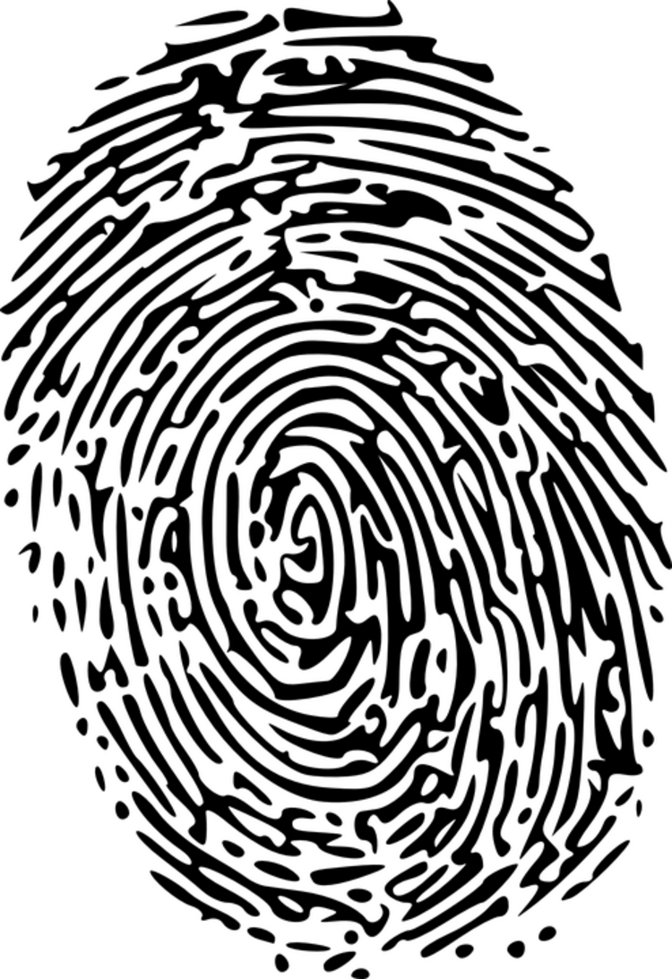 sailpoint