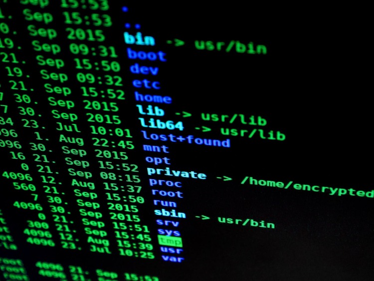 cyber security jobs
