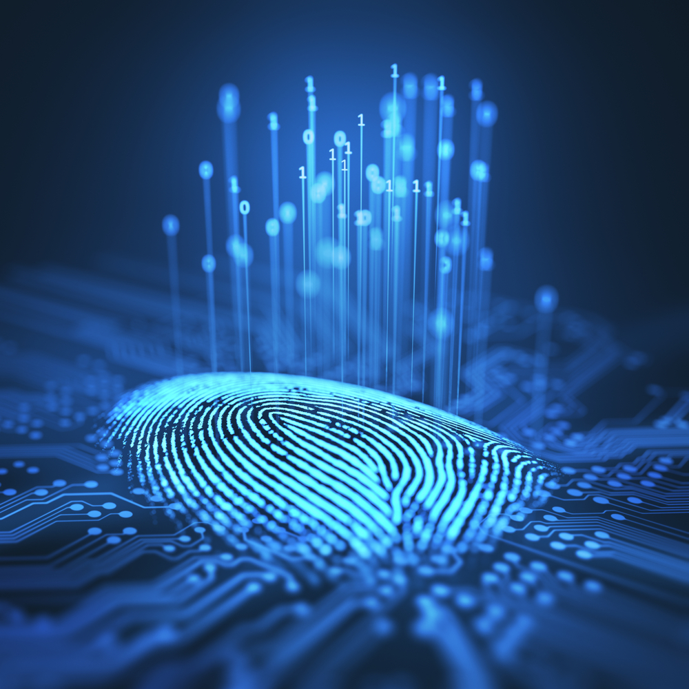 Technology-Based Security Teams
